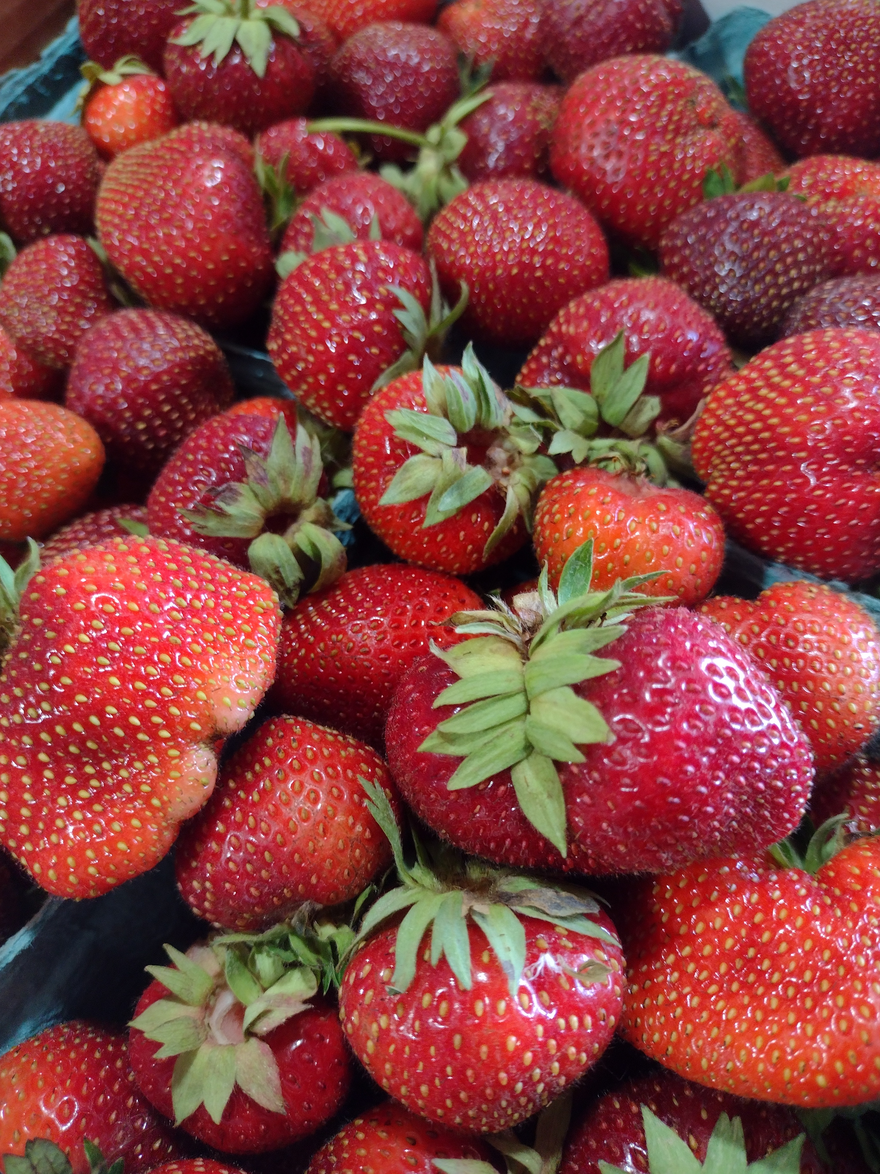 malwina strawberries